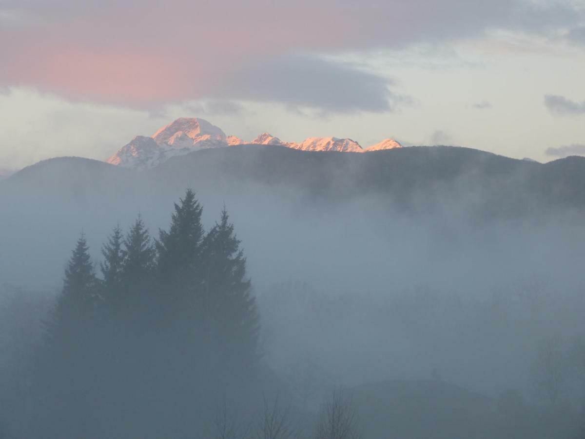 Splendide Vue Pyrenees, Rez De Jardin 2 Chambres Montjoie-en-Couserans Luaran gambar