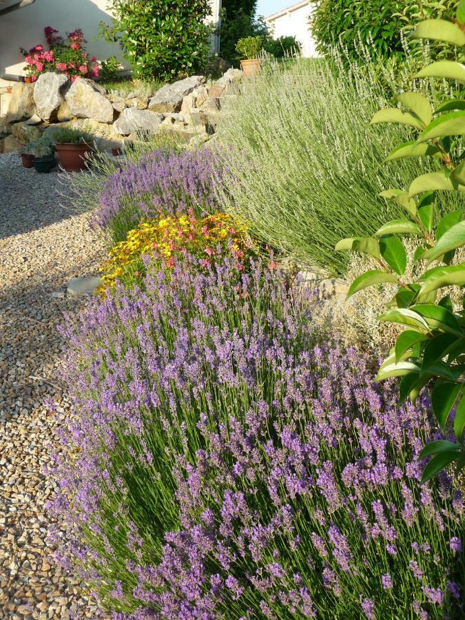 Splendide Vue Pyrenees, Rez De Jardin 2 Chambres Montjoie-en-Couserans Luaran gambar